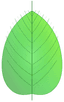 Worq
